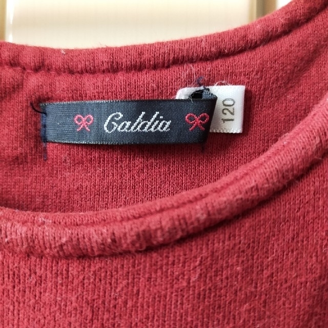 CALDia(カルディア)のキッズ　ワンピース　カルディア　120　秋冬用 キッズ/ベビー/マタニティのキッズ服女の子用(90cm~)(ワンピース)の商品写真