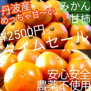 完全無農薬 　ノーワック　めっちゃ甘～い　丹波産　果物詰め合わせ　甘柿　みかん(フルーツ)