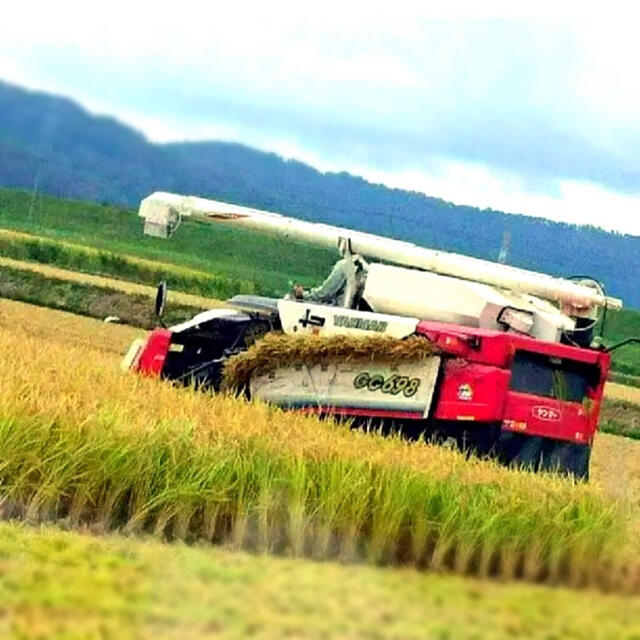 農家直送⭐秋田県産 あきたこまち 15kg 特別栽培 有機米 一等米 特Aランク 食品/飲料/酒の食品(米/穀物)の商品写真