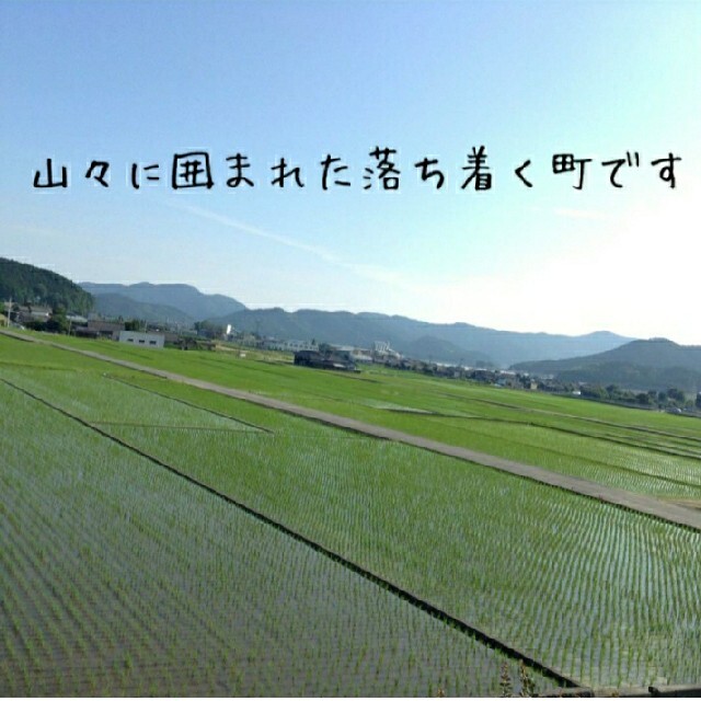 【さくら様専用】愛媛県産あきたこまち１００％　採れたて新米２０Kg 食品/飲料/酒の食品(米/穀物)の商品写真