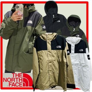 ザノースフェイス(THE NORTH FACE)の◆THE NORTH FACE MARTIS JACKET L(マウンテンパーカー)