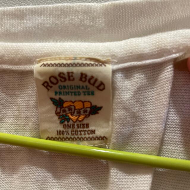 ROSE BUD(ローズバッド)のROSE BUD コットン100Tシャツ レディースのトップス(Tシャツ(半袖/袖なし))の商品写真