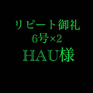 さびき 仕掛け針 2枚セット◉6号×2点 他より太く丈夫な糸 最安値 (釣り糸/ライン)