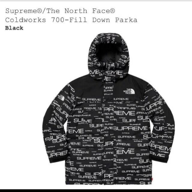 Supreme The North Face Down Parka