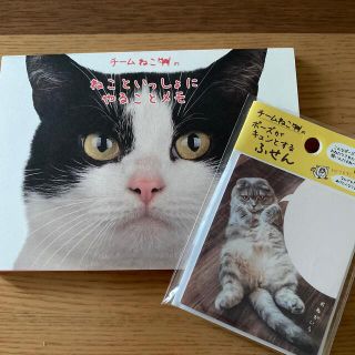 ガッケン(学研)のチームねこ　メモ　ふせん　セット　新品・未使用(ノート/メモ帳/ふせん)