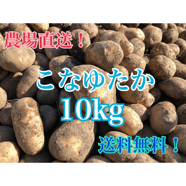 じゃがいも　10kg 食品/飲料/酒の食品(野菜)の商品写真