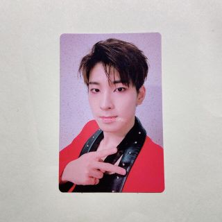 セブンティーン(SEVENTEEN)のSEVENTEEN セブチ　WONWOO ウォヌ  トレカ(アイドルグッズ)