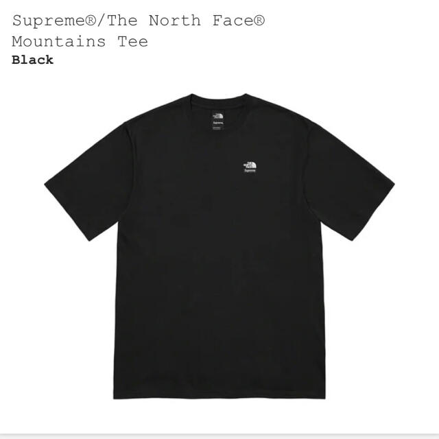 Supreme(シュプリーム)のL 黒　supreme the north face tシャツ　ノースフェイス メンズのトップス(Tシャツ/カットソー(半袖/袖なし))の商品写真