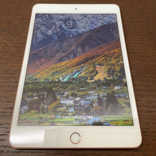 【新品未開封】iPadmini5 256GB　ゴールド　 Wi-Fiモデル