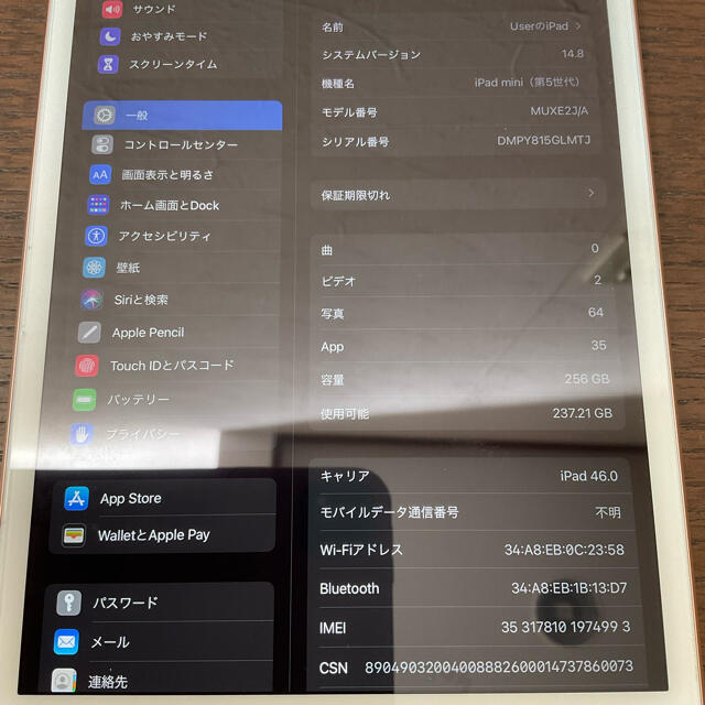 iPadmini5 256GB Wi-Fi+Cellularモデル ゴールド 3