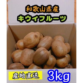 和歌山県産　キウイフルーツ　採れたて３㎏(フルーツ)