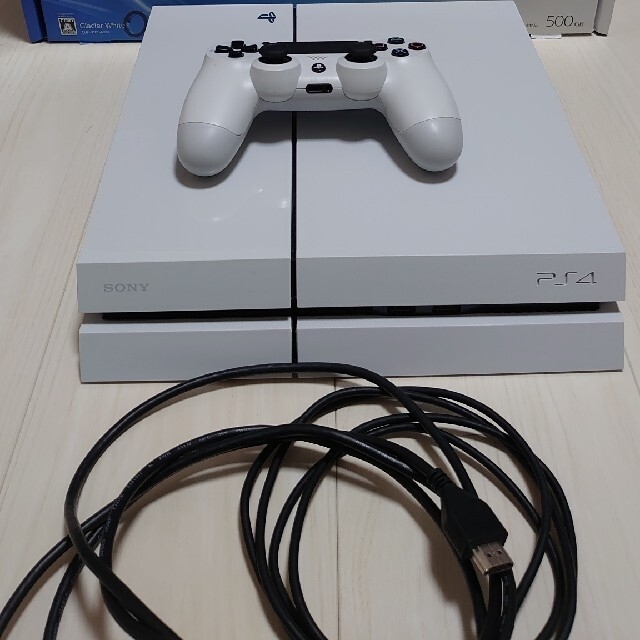 SONY PlayStation4 本体 CUH-1100AB02 - www.sorbillomenu.com