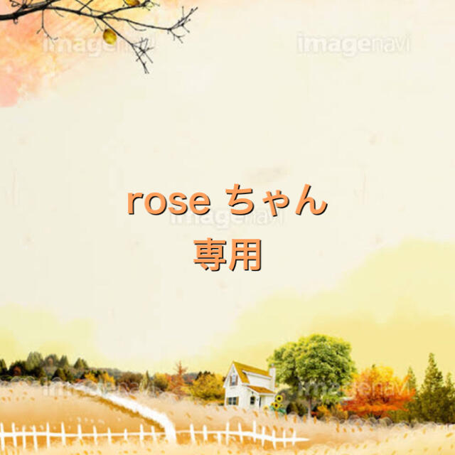 rose ちゃん専用❤️