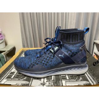 プーマ(PUMA)のPUMA ☆ IGNITE EVOKNIT FADE 送料込み(スニーカー)