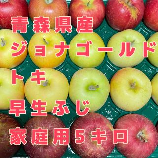 青森県産りんご　ジョナゴールド　トキ　早生ふじ　家庭用5キロ(フルーツ)