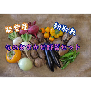 能登産　朝取れ　旬のおまかせ野菜セット(野菜)