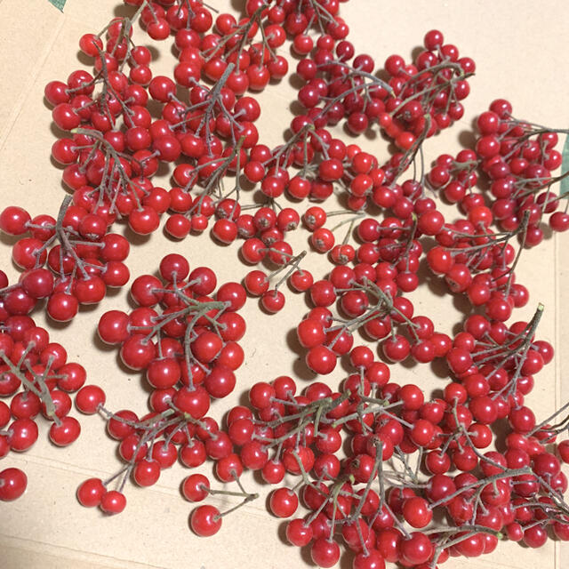 赤い実 茎付き 花材 ドライフラワー 生花 パーツ 木ノ実 ハンドメイドの素材/材料(各種パーツ)の商品写真
