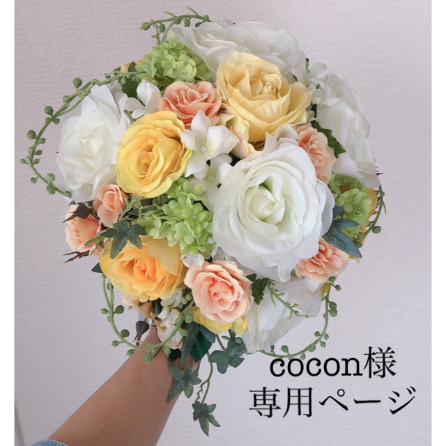 cocon様専用ページ www.clipnclimbhuttpark.co.nz