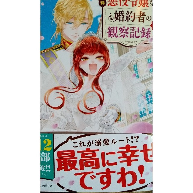 自称悪役令嬢な婚約者の観察記録。 ６ エンタメ/ホビーの漫画(その他)の商品写真