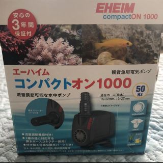 エーハイム(EHEIM)のエーハイム　コンパクトオン1000  50Hz(アクアリウム)