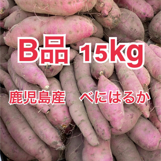 鹿児島県産　べにはるか　紅はるか　15kg B品　サツマイモ　さつまいも 食品/飲料/酒の食品(野菜)の商品写真