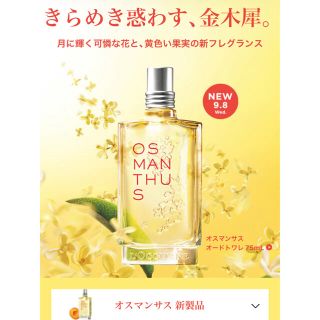 ロクシタン(L'OCCITANE)の新品⭐︎ロクシタン　オスマンサス(ボディローション/ミルク)