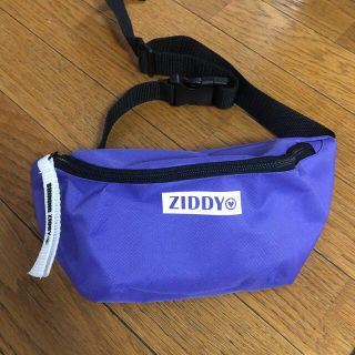 ジディー(ZIDDY)のZIDDYジディー⭐︎ボディーバッグ　ウエストポーチ　ニコプチ　付録(ボディバッグ/ウエストポーチ)