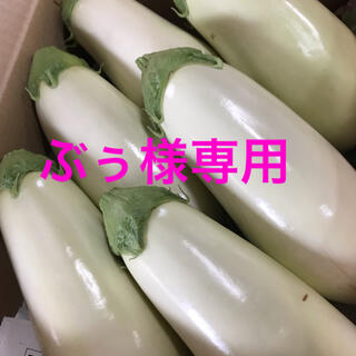 ぶぅ様専用　ブランド茄子【りんごあめ】セレクトオーダー(野菜)