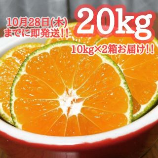 3.4【即発送】20kg 極早生みかん【今だけ特価】10kgより超お得！(フルーツ)