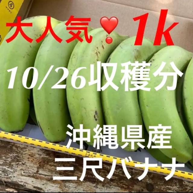 ①大人気❣️無農薬✨沖縄県産三尺バナナ(台湾系島バナナ)✨1キロ分✅10/26 食品/飲料/酒の食品(フルーツ)の商品写真