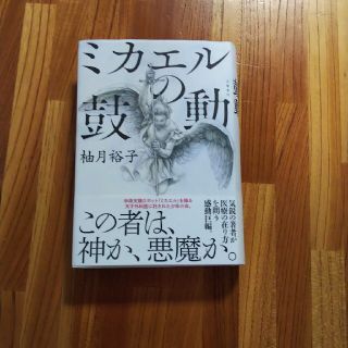 ミカエルの鼓動(文学/小説)