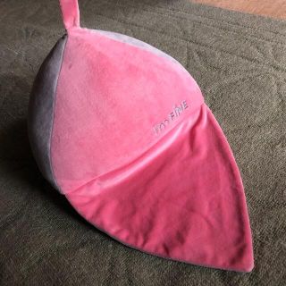 I'm FINE 腹筋ｸｯｼｮﾝ(エクササイズ用品)