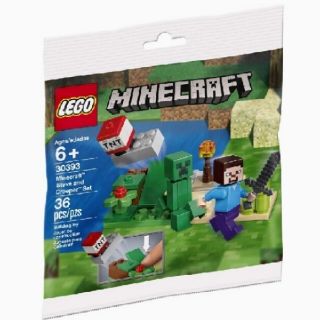 レゴ(Lego)の確認用！レゴ★マインクラフト スティーブとクリッパー 30393 未開封・新品(キャラクターグッズ)