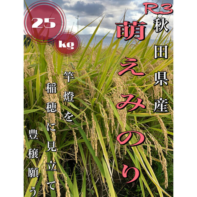 農家直送！令和3年 秋田県産【萌えみのり】玄米25kg 1等米 〈新米〉美味い☆農家直送