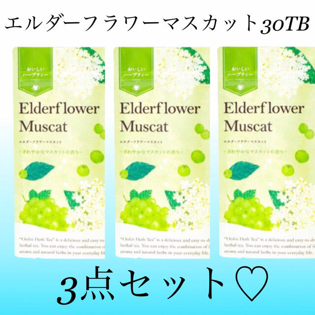 生活の木(セイカツノキ)のエルダーフラワーマスカット30TB×3点セット　生活の木おいしいハーブティー 食品/飲料/酒の飲料(茶)の商品写真