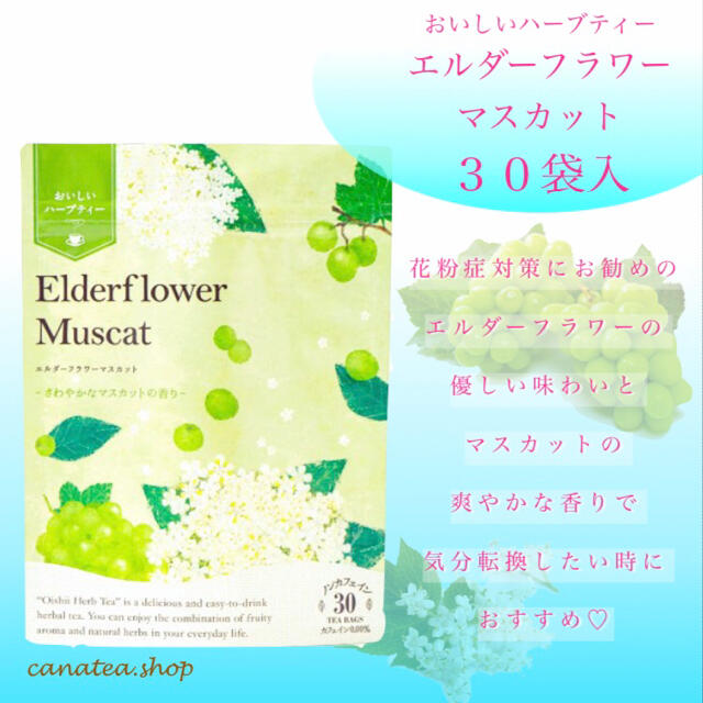 生活の木(セイカツノキ)のエルダーフラワーマスカット30TB×3点セット　生活の木おいしいハーブティー 食品/飲料/酒の飲料(茶)の商品写真