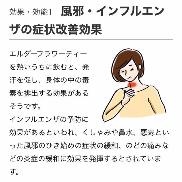 生活の木(セイカツノキ)のエルダーフラワーマスカット30TB×3点セット　生活の木おいしいハーブティー 食品/飲料/酒の飲料(茶)の商品写真