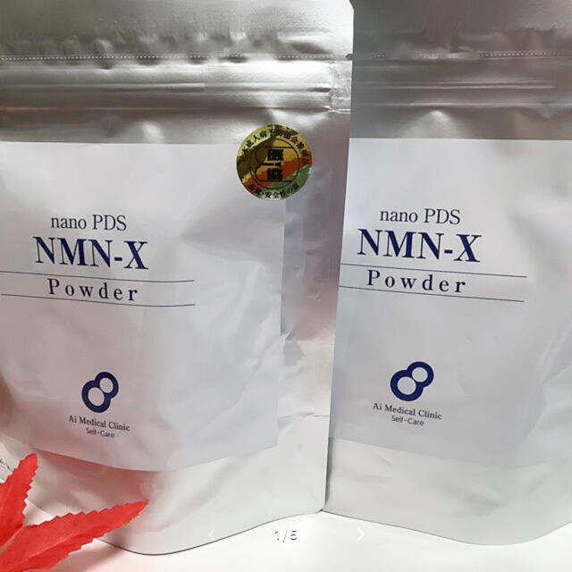 アイテック nano PDS NMN-X Powder サプリ 2袋 新品未開封 | vizoobras