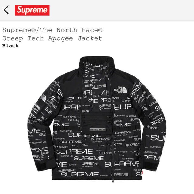 マウンテンパーカーSupreme×The North Face Steep Tech Apogee