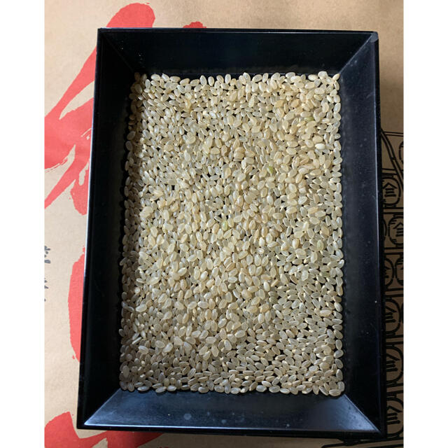 35%OFF ひとめぼれ玄米22kg 令和5年秋田県産 減農薬 米 35%OFF ひとめぼれ玄米22kg 令和5年秋田県産 減農薬 米
