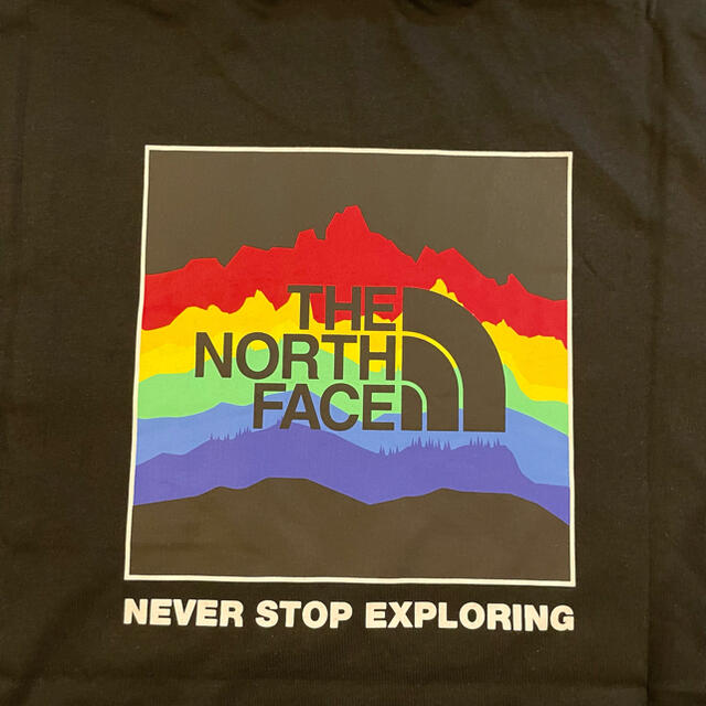 THE NORTH FACE ノースフェイス　海外限定・日本未発売Tシャツ　M 3