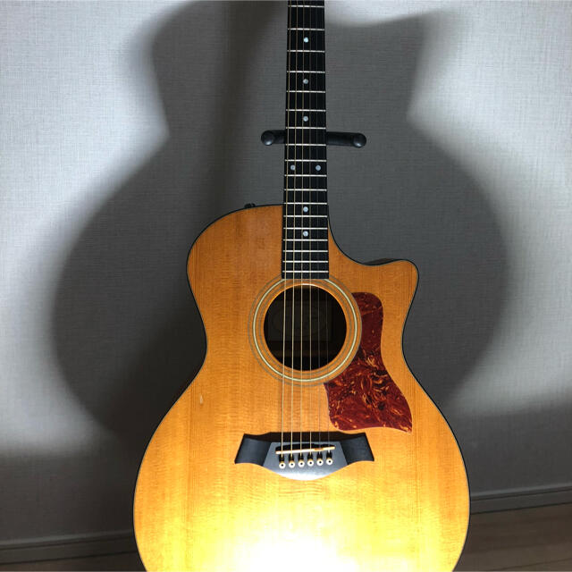 限定版 taylor314ce アコースティックギター - www.kenyaembassydoha.com