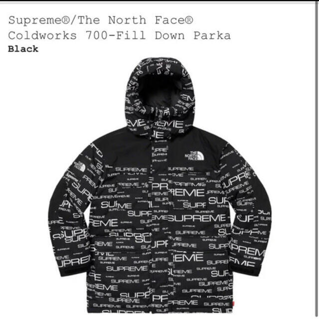 Supreme®/The North Face® 700-Fill Down