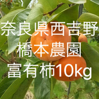 富有柿　10kg  家庭用　奈良県西吉野　橋本農園　農家直送(フルーツ)