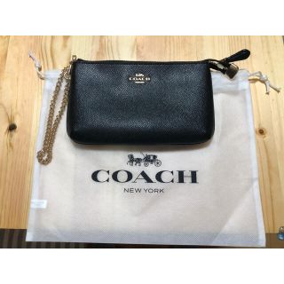 コーチ(COACH)のCOACH コーチ ポーチ　ハンドバッグ　財布(ポーチ)