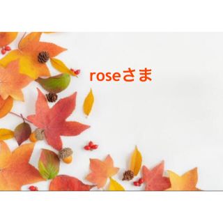 roseさま　専用①(各種パーツ)