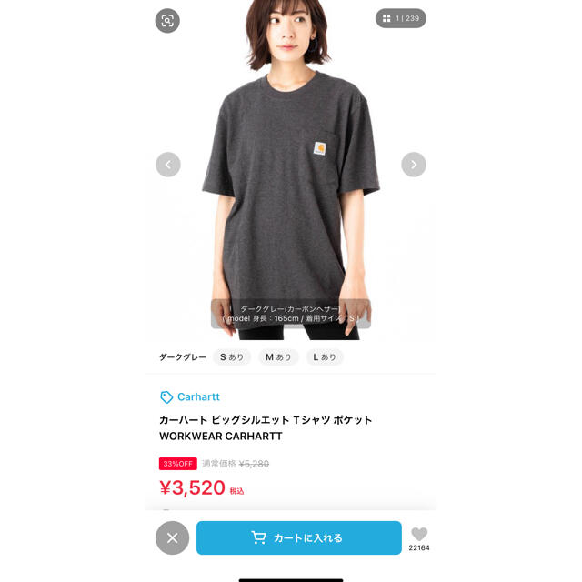 carhartt(カーハート)のCarhartt  ビッグシルエット Tシャツ ポケット  メンズのトップス(Tシャツ/カットソー(半袖/袖なし))の商品写真