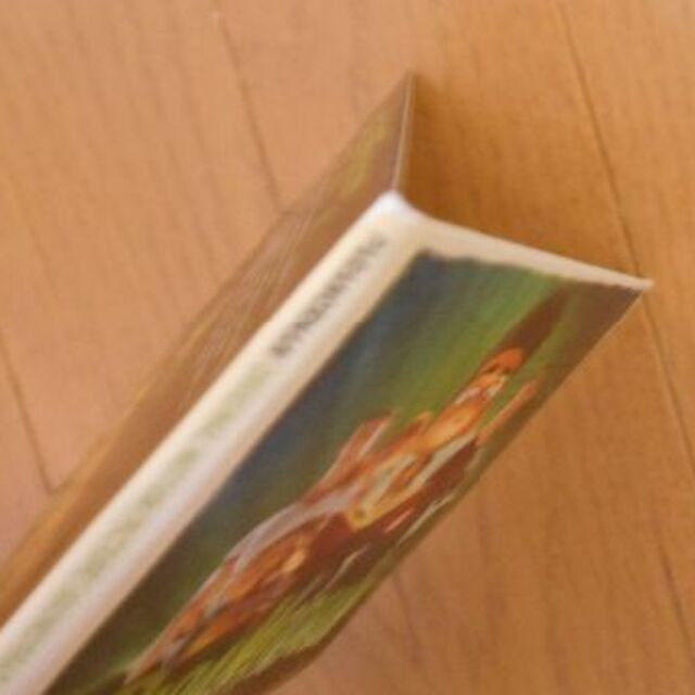 パラノーマン ブライス・ホローの謎 エンタメ/ホビーのCD(キッズ/ファミリー)の商品写真