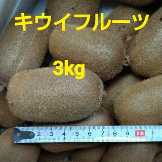 キウイフルーツ　３キロ(フルーツ)