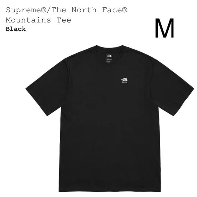 Supreme The North Face Mountains Tee 黒 M